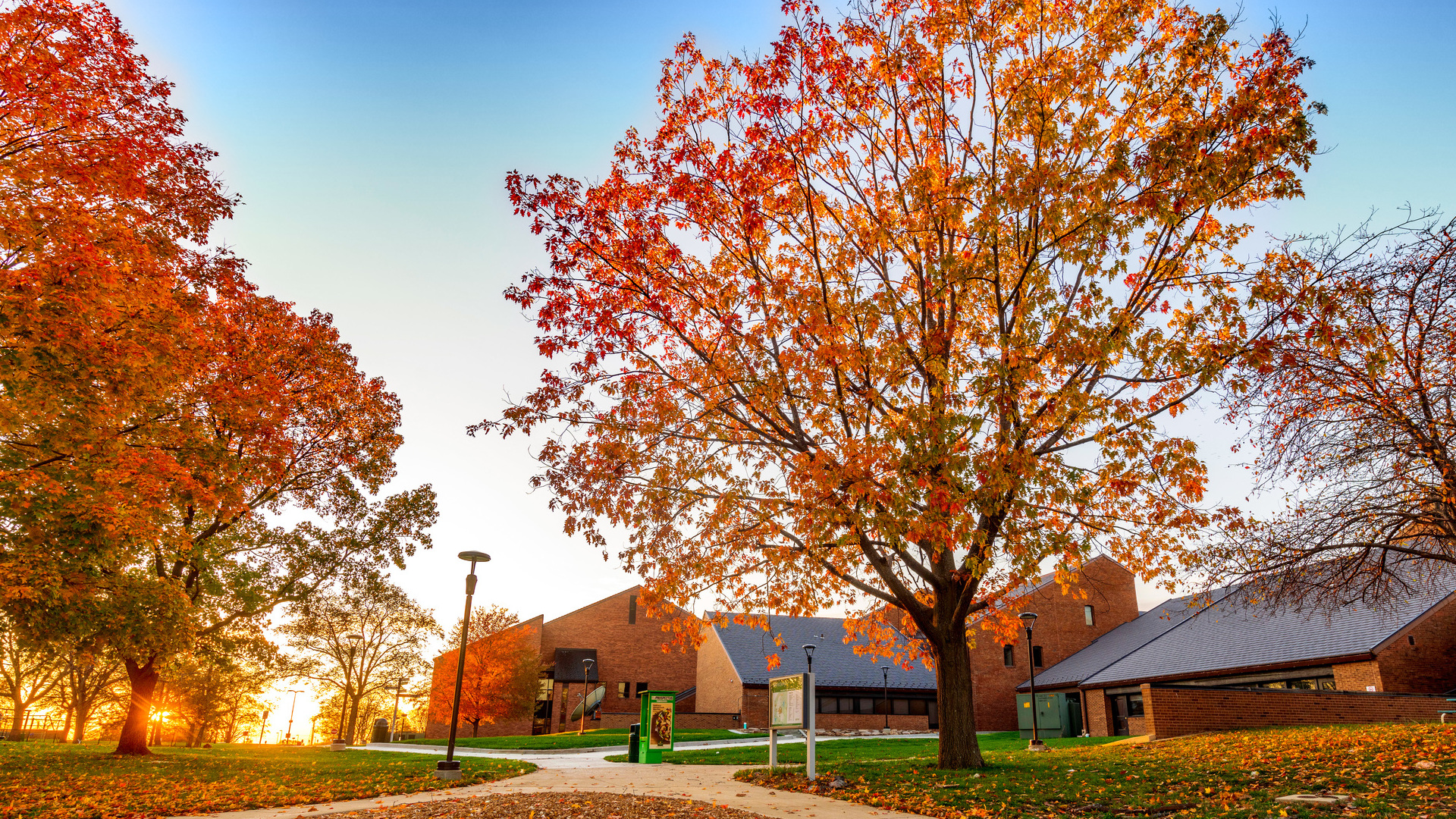 Autumn view of the Parkland B Wing